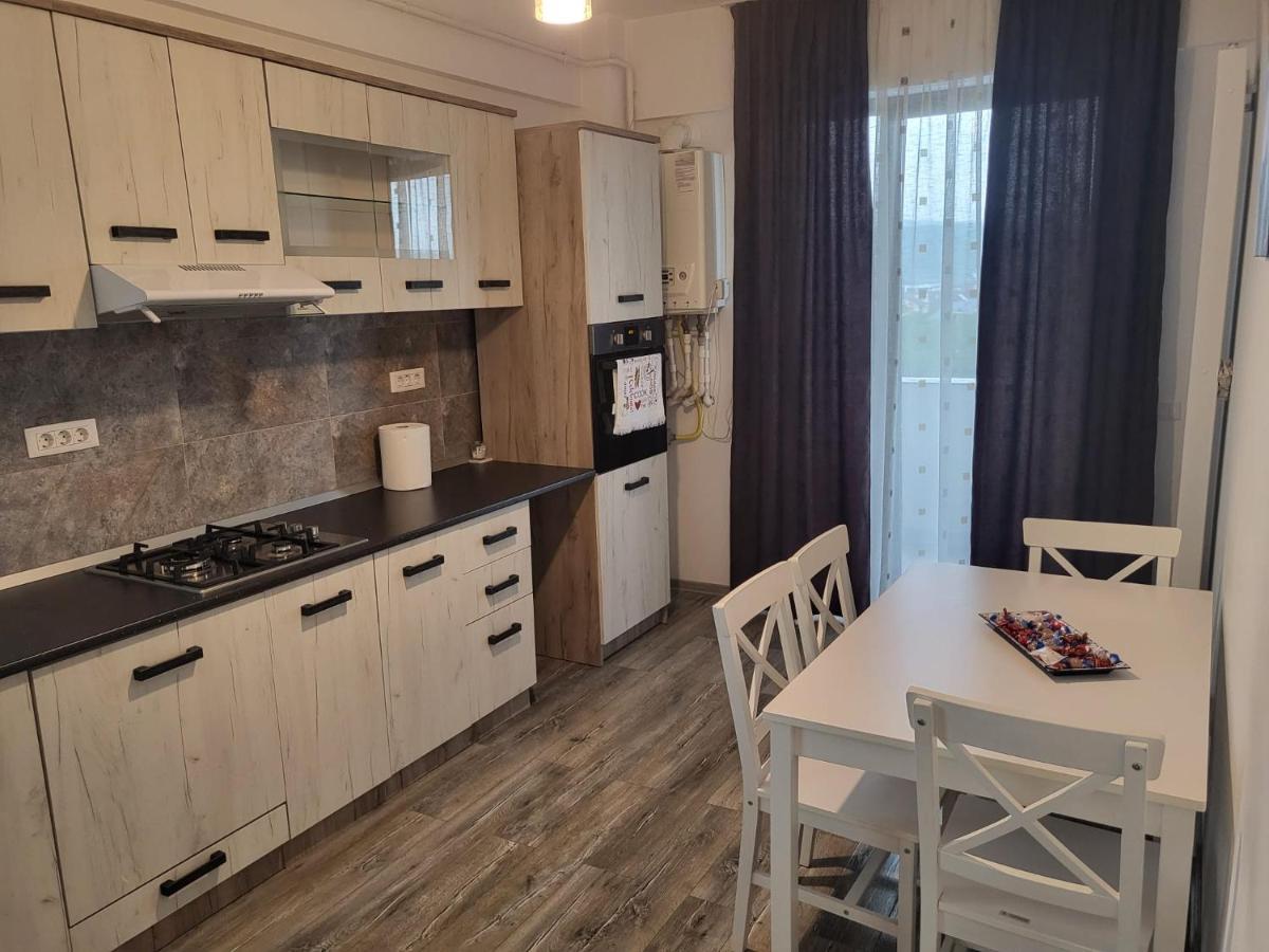 Apartament Dem Radulescu Lägenhet Râmnicu Vâlcea Exteriör bild